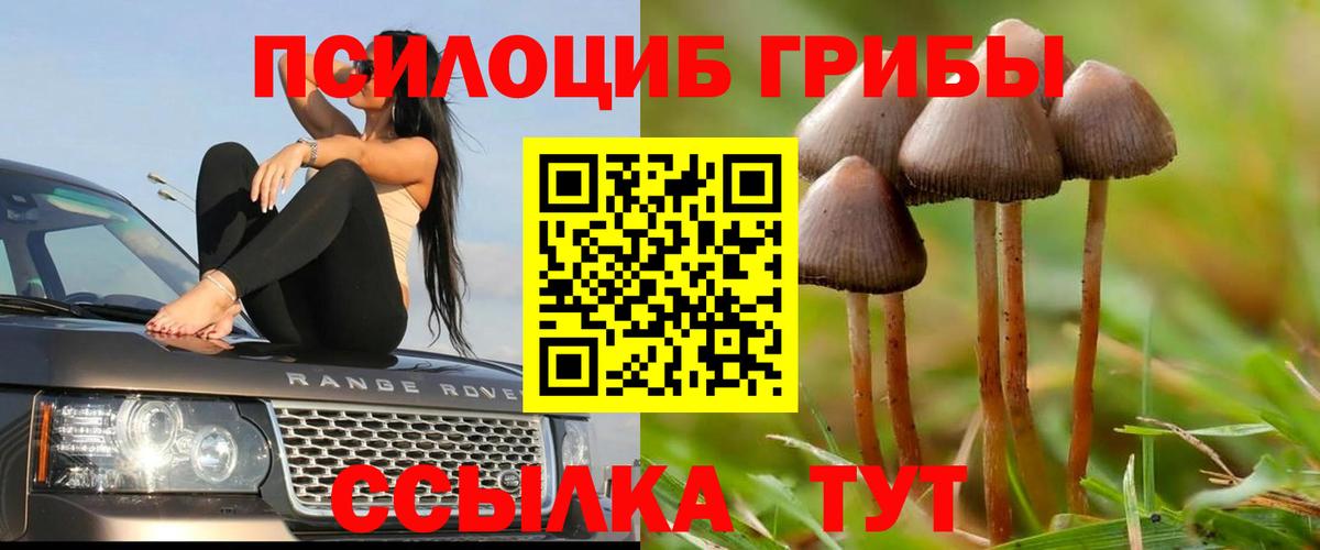 Псилоцибиновые грибы Magic Shrooms Качканар