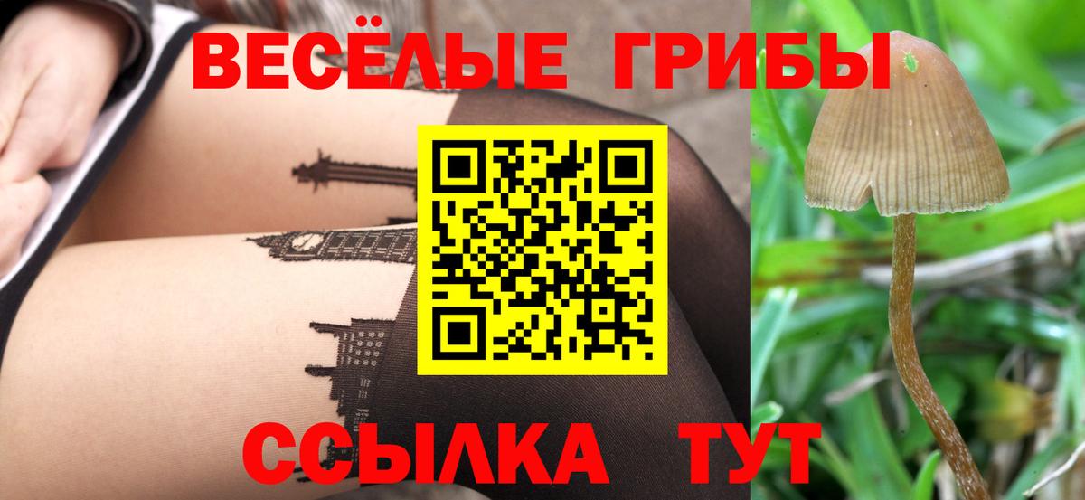 Галлюциногенные грибы Psilocybe  Псилоцибиновые грибы Magic Shrooms  Качканар  Вход с VPN 